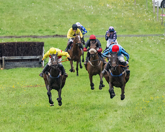 Race 8 - Bumper Div 2 (33 of 84)