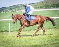 Race 2 The Highwayman Inn Restricted Race (5 of 144)