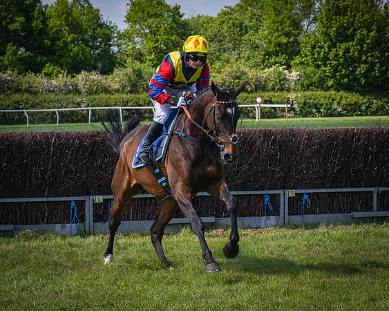 Race 3 The College and County Ladies Open Race (44 of 122)