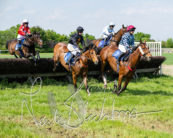 Race 3 - Ladies Open  (80 of 133)