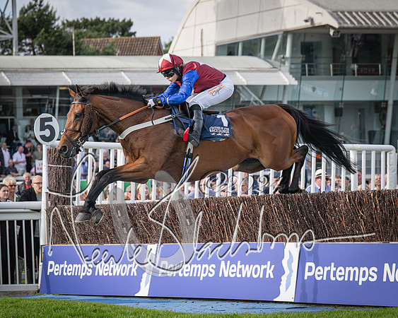 Race 2 - Olly Murphy Racing Stratford Ladies Open (57 of 111)