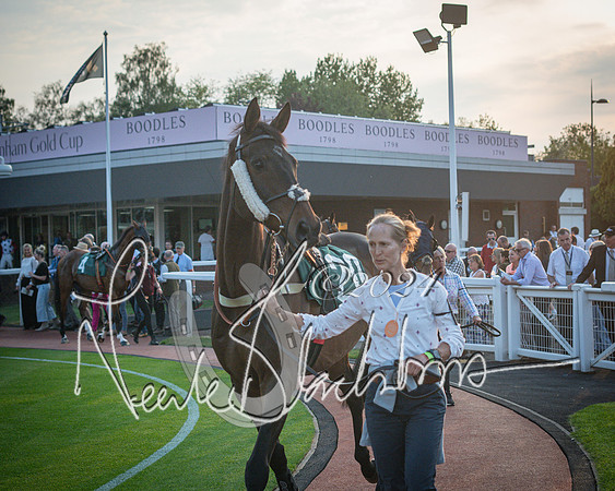 Race 6 - The Brooklands watches Golden Miller chronograph open hunter’s steeplechase 4m 97y (49 of 396)