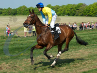picture-9