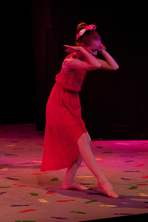 Rose Petals 29