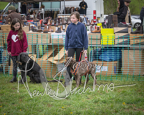 Bicester - Dog Show (72 of 106)