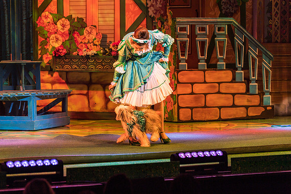 Swan Panto 2017