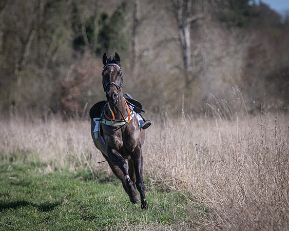 Pony Races (68 of 112)