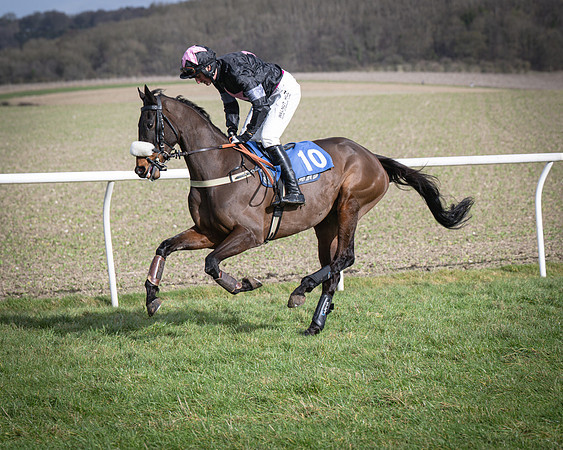 Race 3 - The Maiden Conditions (39 of 214)