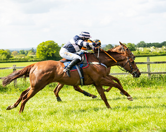 Race 4 - Ladies Open  (50 of 79)