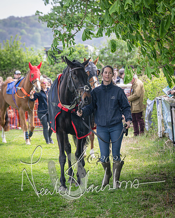 Race 2 - The Elliott of London maiden race (24 of 137)
