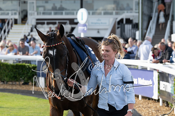 Race 3 - The pointtopoint.co.uk champion novices’ Hunter Chase (54 of 140)