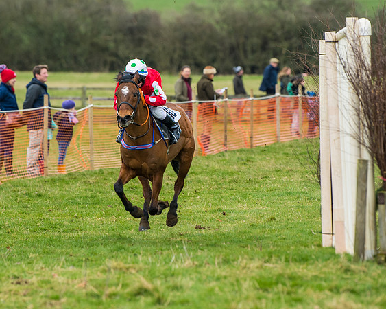 Pony Race 2 (52 of 162)