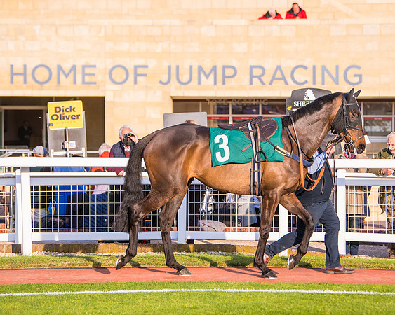 Race 5 - ITM Mares'  (14 of 181)