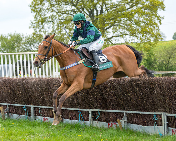 Race 2 - Jockey Club ROR veteran Horse (89 of 104)