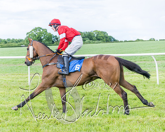 Race 5 - Restricted Race (88 of 434)