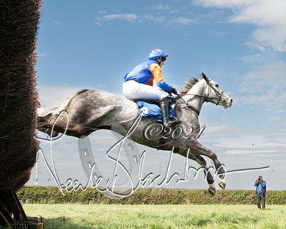 Race 2 - The Elliott of London maiden race (89 of 137)