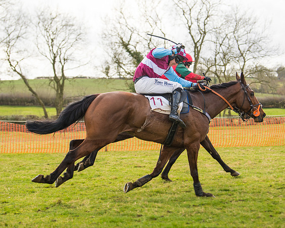 Race 3 - Restricted  (69 of 100)