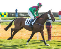 Race 6 - Aga Confined Race (16 of 91).jpg