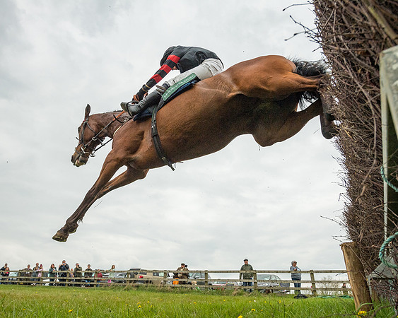 Race 2 - Jockey Club ROR veteran Horse (77 of 104)