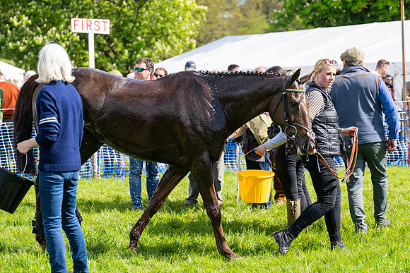 Race 4 -  2M4F Conditions  (102 of 102)