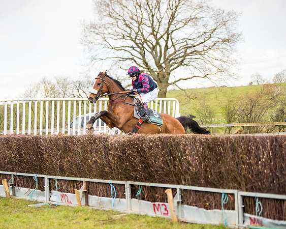 Race 3 - Owner Trainer conditions (100 of 132)
