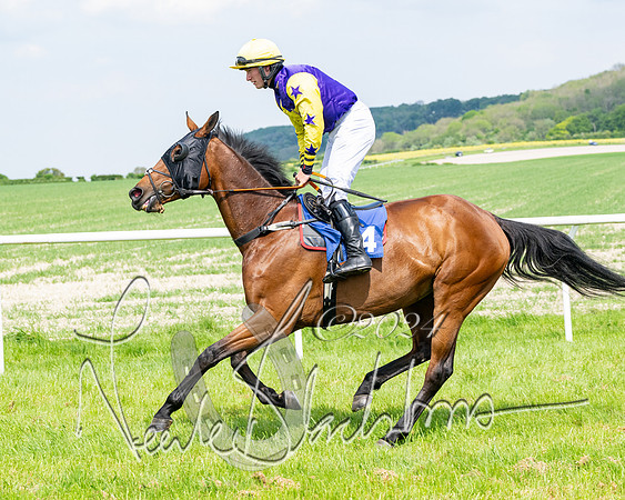 Race 2 - Restricted  (167 of 308)