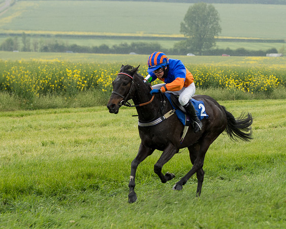 Pony Race 1  (68 of 125)