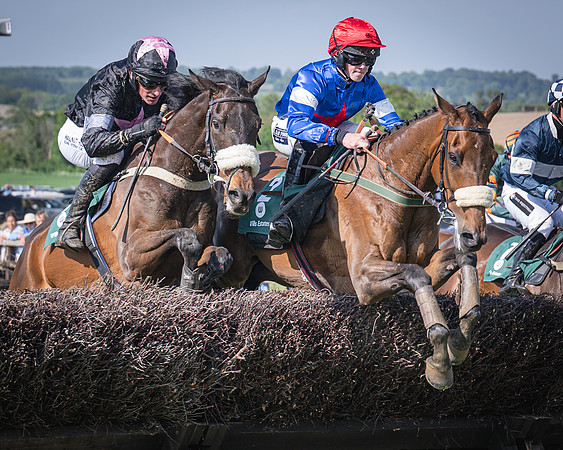 Race 5 - Restricted (60 of 116)