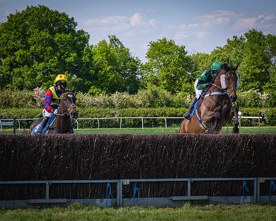 Race 3 The College and County Ladies Open Race (28 of 122)