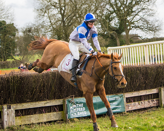 Race 3 - Restricted  (73 of 100)