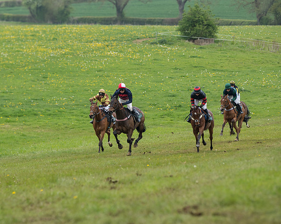 Race 2 - Jockey Club ROR veteran Horse (44 of 104)