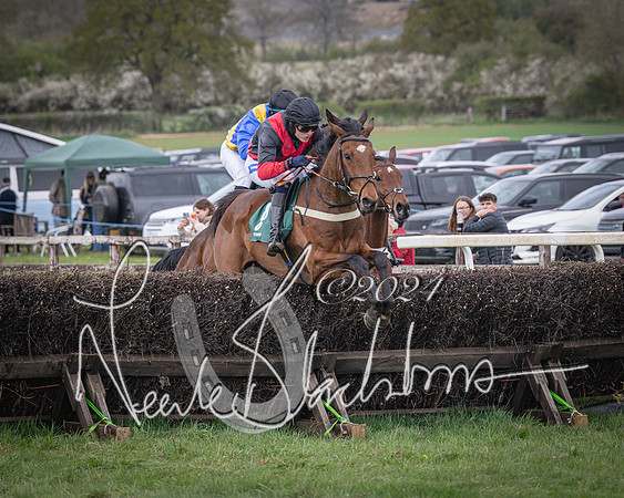 Race 3 - 5 years old and Over Maiden Race (44 of 130)