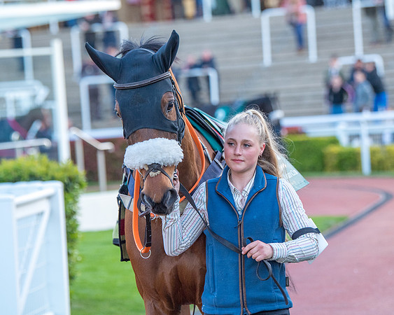 Race 7 - Glos Hussars  (50 of 245)