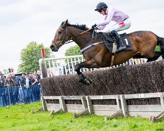 Race 2 - Veteran Horse (53 of 80)