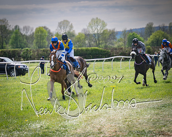 Race 2 - The Elliott of London maiden race (63 of 137)