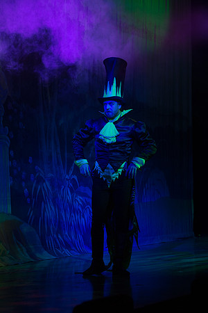 Swan Panto 2017