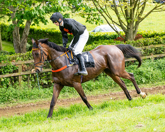 Race 5  - Novice riders (9 of 188)
