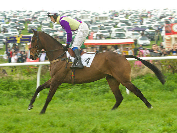 Old Berks at Lockinge Mixed Open Race