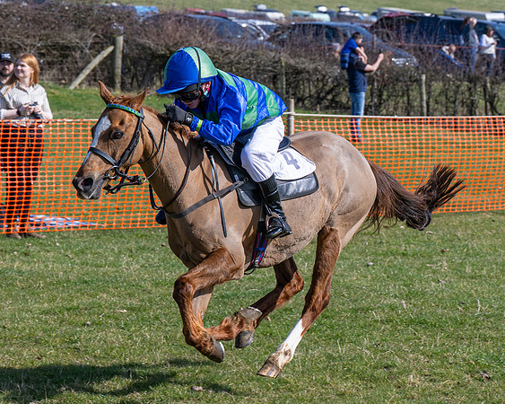 Pony Race 2 - 138cm (49 of 65)