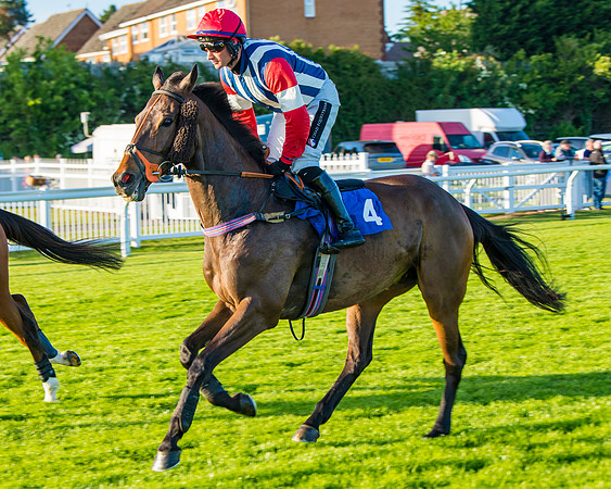 Race 5 - White Swan Hotel Handicap (15 of 80)