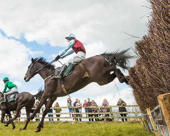 Race 2 - Young Horse Maiden (47 of 104)
