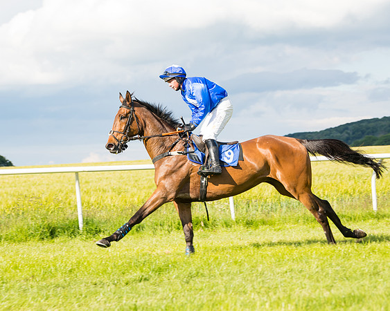 Race 6 - Open Maiden (77 of 227)