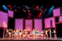 Legally Blonde The Musical
