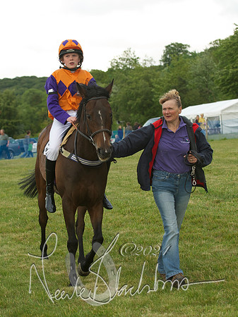 Pony Race - 15