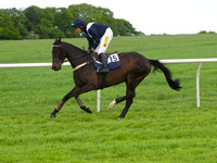 KM5_8349