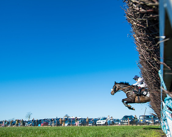 Race 4 - Ladies Open  (72 of 200)