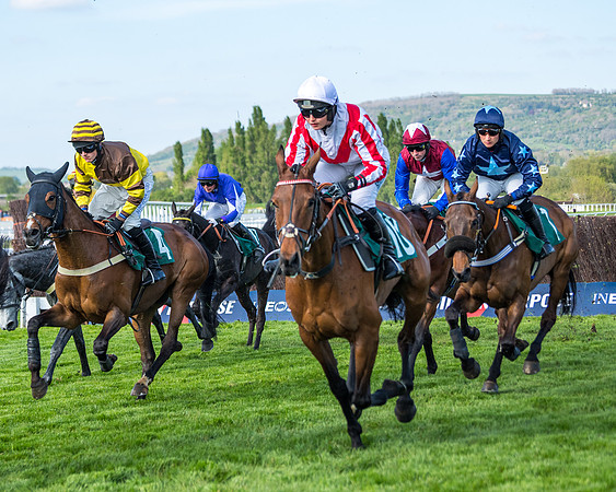 Race 2  -  Intermediate Point to Point Hunters' Steeple Chase (105 of 277)