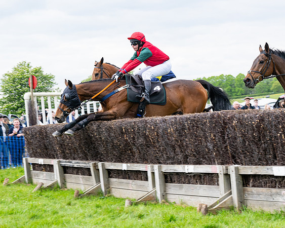 Race 2 - Veteran Horse (15 of 80)