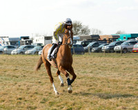 Race 2 - Open Maiden (19 of 101).jpg