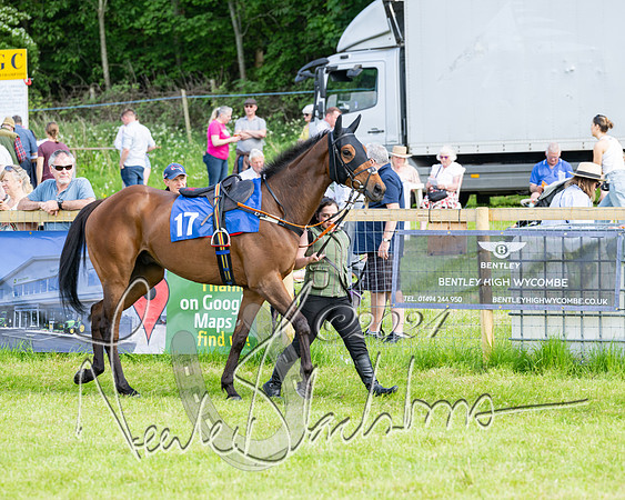 Race 5  - Maiden race 2m5F Div-1 (2 of 197)